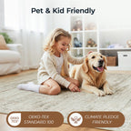 Vesper Collection · Beige Washable Area Rug